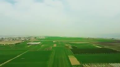 田园风光绿色自然视频的预览图